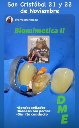 biomimetica