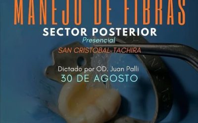 Manejo de Fibras, Sector Posterior